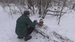 ЛЕСНОЙ ОБЖОР ГОРЯЧИЙ ЧАЙ НУРИ ЭРЛ ГРЕЙ, НОВИНКА КРЕКЕР TUC СПЕЛЫЙ ТОМАТ И АРОМАТНЫЕ ТРАВЫ