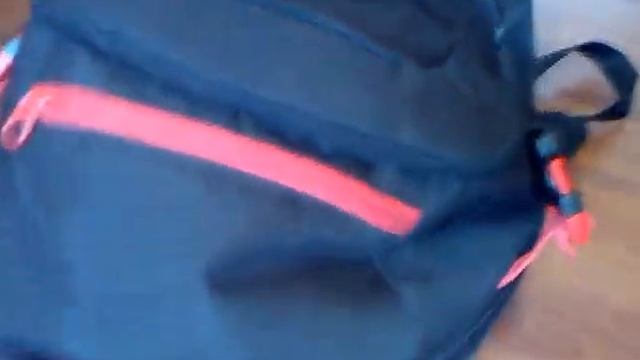 Кот и сумка. Британский котенок. смотреть онлайн