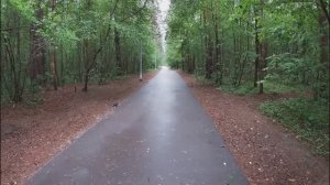 Черняевский лес. Прогулка по Парку Перми.