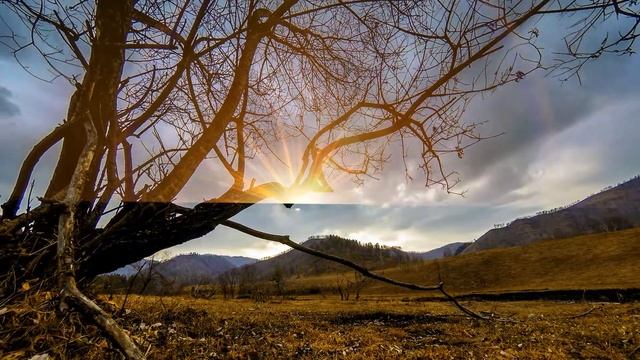 BCC Lens flare 3d obscuration test смотреть онлайн