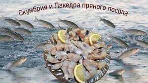 Лакедра и Скумбрия пряного посола