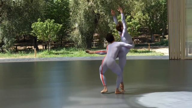 Dying Swans / Derek Dunn and Shale Wagman. Nunes.art смотреть онлайн