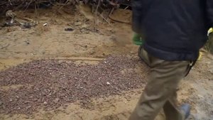 Ручной виброкаток Masalta MSR58