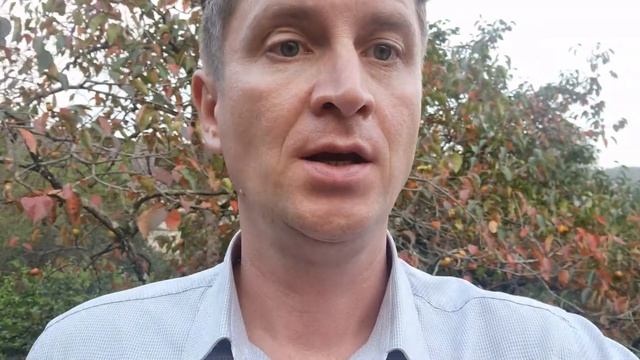 Продажа участка в центральном Сочи.