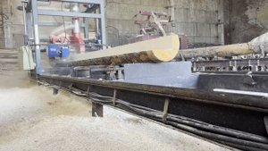 Бревнопильный станок Ц2УБС-2, пилорама в действии.