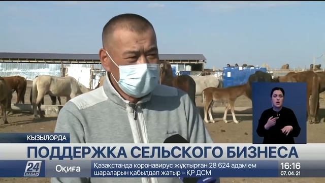 Фермеры активно пользуются программами поддержки АКК смотреть онлайн