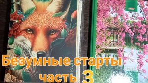 Безумные старты. Часть 3. Небольшие продвижения и итоги