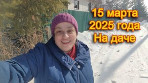15 марта 2025 года. Дачные будни, болталка