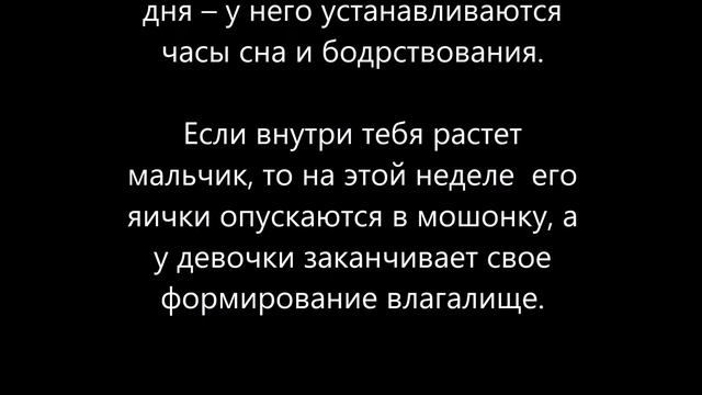 26 неделя беременности – беременность 26 неделя