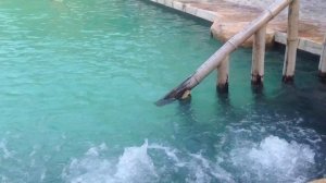 I Resort в Нячанге - VIP бунгало.