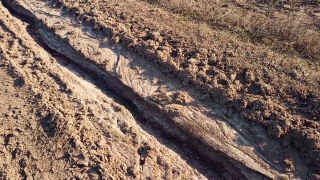 Встретили чёрных копателей и интересные находки на дороге!