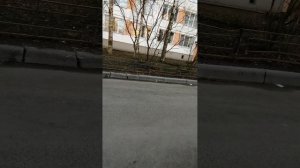 Дворы Санкт-Петербурга