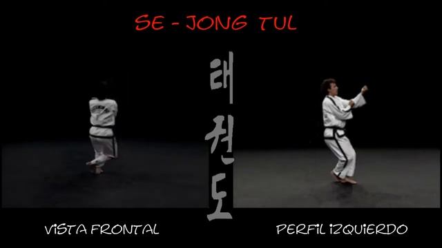 23. 5-й Дан. Се Чжонг Туль Se Jong Tul тхэквондо taekwondo таэквондо хьенг комплекс смотреть онлайн