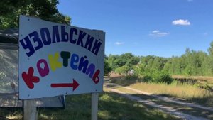 Проект "К истокам Духа". Обзор проделанной работы