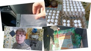 ПОЛУЧИЛИ ДОКУМЕНТЫ на приватизацию САДА // МНОГО ЯИЦ НЕ БЫВАЕТ // ГРУНТ для рассады