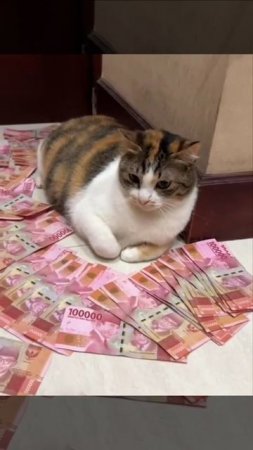 Мои, не трогайте)))
