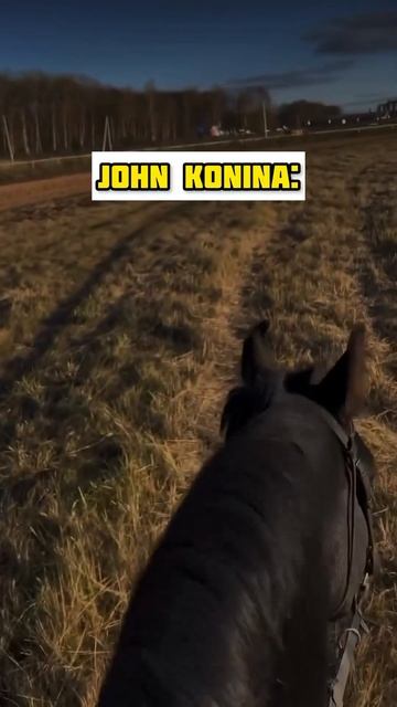 Выход всегда есть! 🚜🐎🤭 #село #сельскаяжизнь #трактористы #урожай #лошади #комбайн #деревня