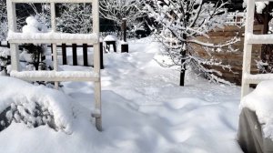Поздравление с Новым Годом!