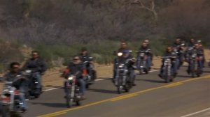 Furious zoo - Going to the Run