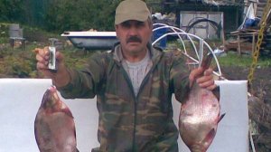 Ролик про рыбалку.Много ль надо мужику.