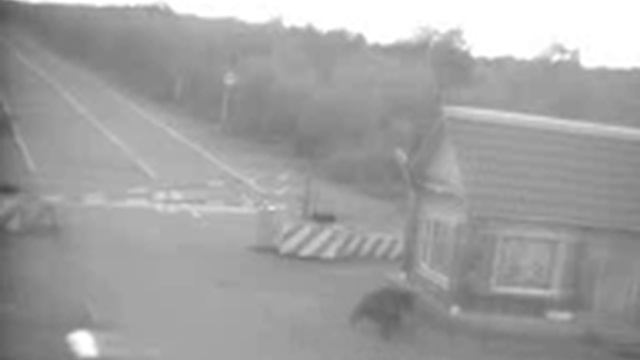 медведь смотреть онлайн