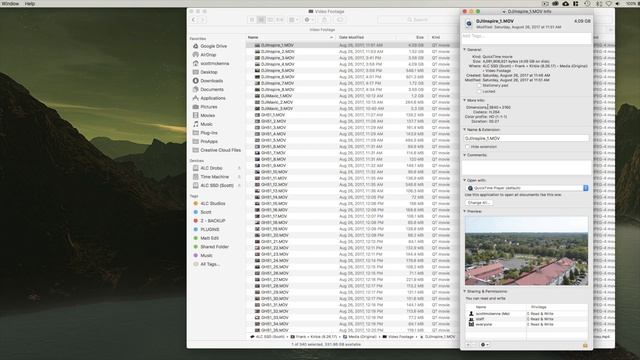 Adobe Premiere Proxy Workflow with Adobe Team Projects - A Great Collaboration Workflow смотреть онлайн