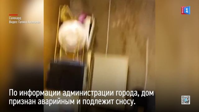 Видео не для слабонервных