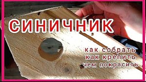 Синичик.Экология моего сада