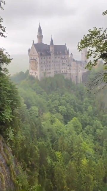 Очень красивый замок в джунглях #shorts смотреть онлайн