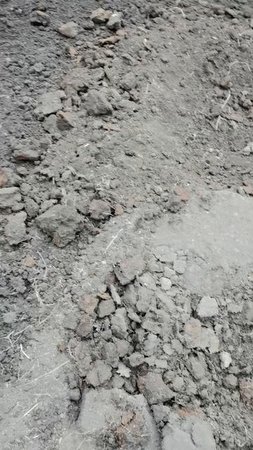Моя теплица готова к новому сезону, а ваша?