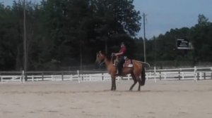 Festival of Flowers Freestyle Reining 6/9/12