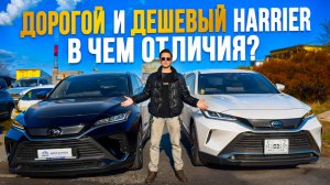 Сравнение TOYOTA HARRIER: ДОРОГОЙ и ДЕШЕВЫЙ сегмент | Автоподбор АВТО В РУКИ!