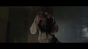 Каруза - 2025 (04)