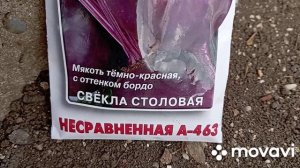 Сею морковь, свëклу, арпачик...