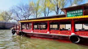 Китай. Пекин. Зоопарк.