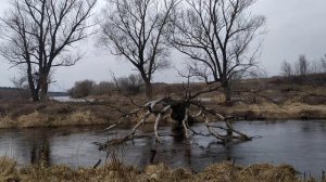 река Старица