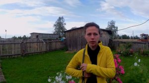 Эльвира отвечает на вопросы губернатора на канале Русский Север