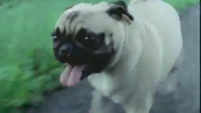 You and I in this beautiful world смотреть онлайн