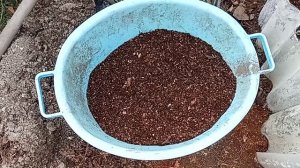 садим сидераты