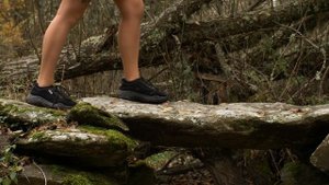 6014626-hd_1920_1080_25fps