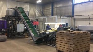 Линия для упаковки картофеля