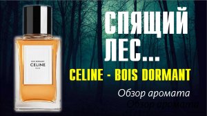 ГЛАВНЫЙ ОММАЖ НА DIOR HOMME, КТО ЖЕ ОН?.. // CELINE BOIS DORMANT // ОБЗОР АРОМАТА / Fragrance Review