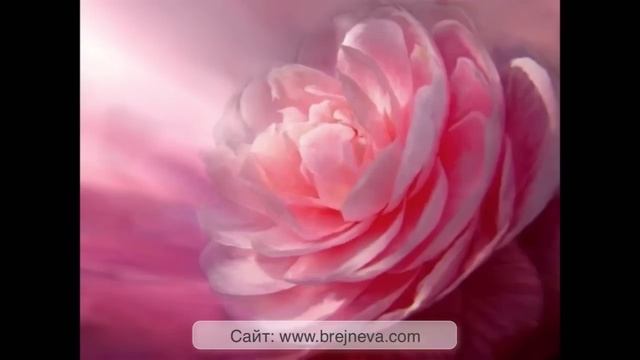 Методика _Исцеление Сигнатурной Клеткой_