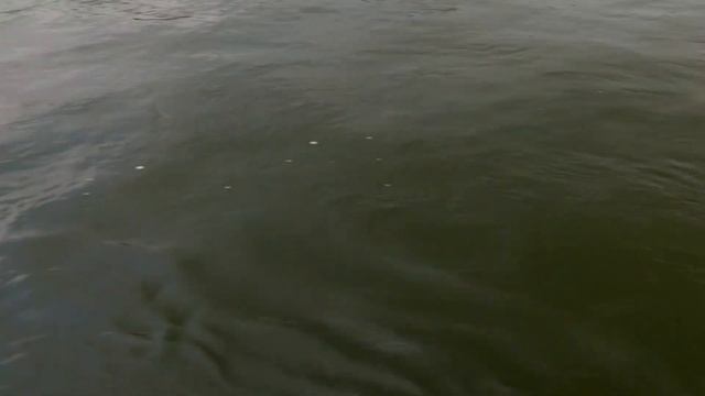 Matt Herren’s Locked Down Gameplan at Lay Lake смотреть онлайн