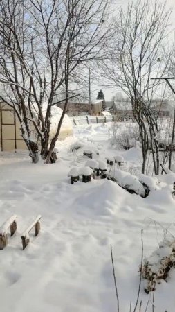 В Сибири мороз - 20 середина ноября
