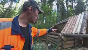 СТРОЮ ЛЕСНУЮ ИЗБУ ИЗ ВЕТРОВАЛА. РАБОТА ПРЁТ, ДЕВУШКА-ОПЕРАТОР. ЖИЗНЬ В ТАЙГЕ, УТЕПЛЯЕМ  СТЕНЫ.