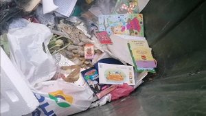 Как я зарабатываю лазая по мусоркам Питера? Dumpster Diving