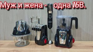 Обзор аккумуляторной кухонной техники INGCO