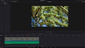 How To Convert LOG or RAW Footage to REC-709 in Davinci Resolve