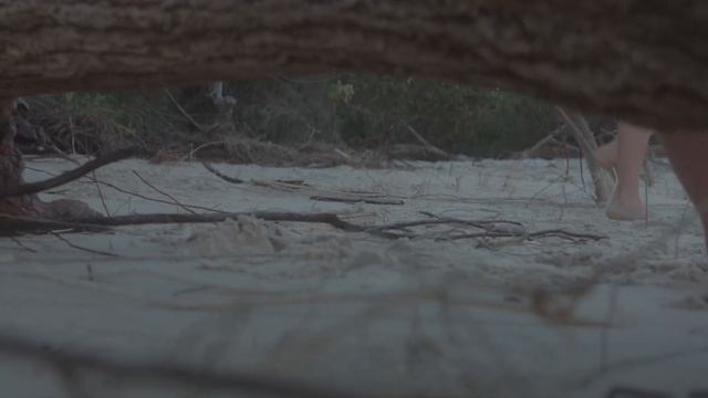Sirui 24mm anamorphic lens/Voightlander 17.5mm f0.95 lens/GH5s/filmconvert nitrate смотреть онлайн